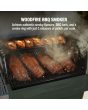 Ninja PG301UKGN FlexFlame Gas BBQ Green
