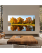 TCL 65C8L-UK 65inch 4K QD-Mini LED Google TV Black