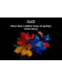 TCL 65P7K-UK 65inch 4K QLED Direct LED HDR Google TV