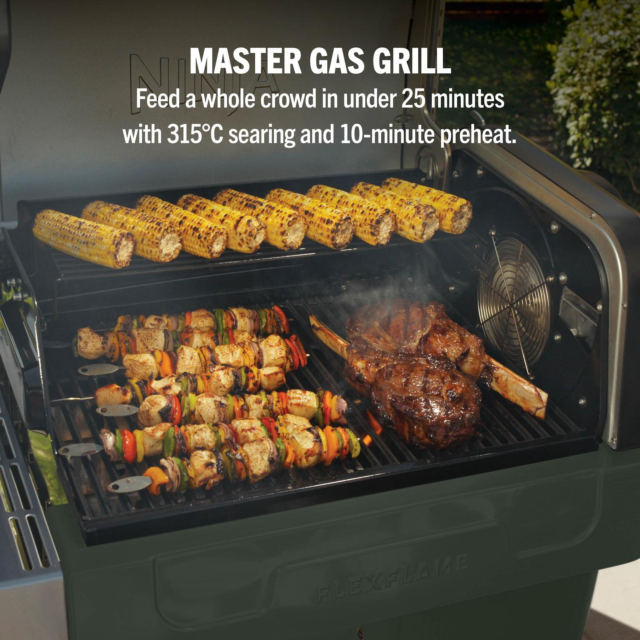Ninja PG301UKGN FlexFlame Gas BBQ Green